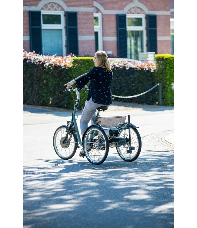 Van Raam Van Raam Maxi Tricycle – Comfortable adult tricycle