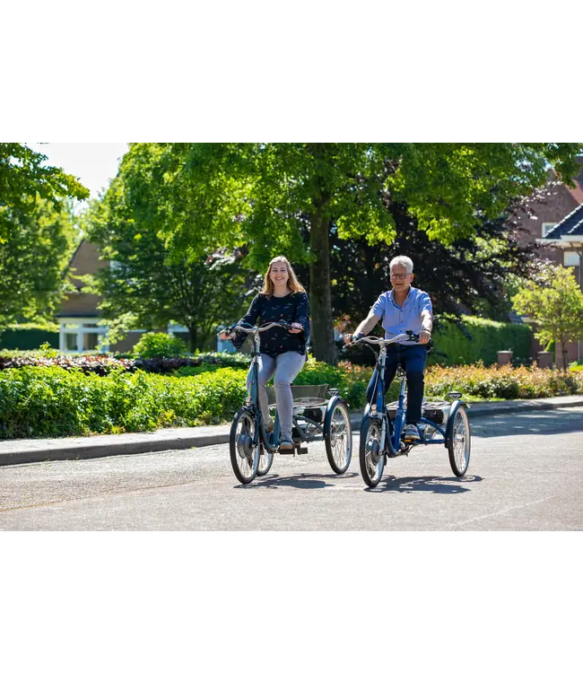 Van Raam Van Raam Maxi Driewielfiets – Comfortabele driewieler voor volwassenen
