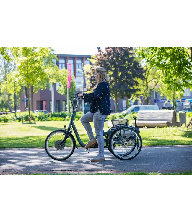 Van Raam Van Raam Maxi Tricycle – Comfortable adult tricycle