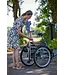Van Raam Van Raam Maxi Tricycle – Comfortable adult tricycle