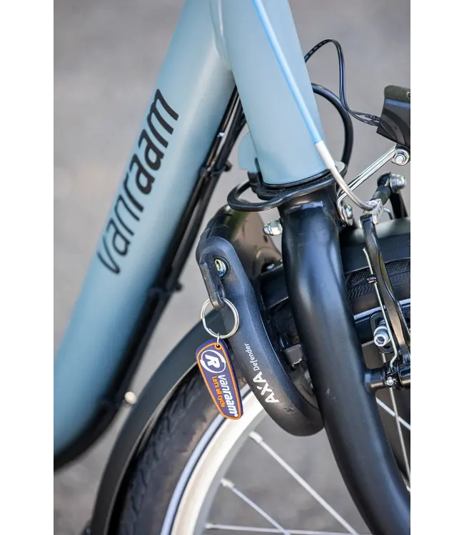 Van Raam Van Raam Maxi Driewielfiets – Comfortabele driewieler voor volwassenen