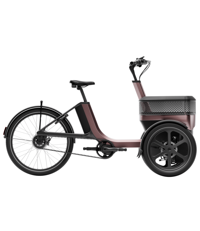 Van Raam Van Raam Thuja driewielfiets – Stabiliteit en comfort met twee voorwielen