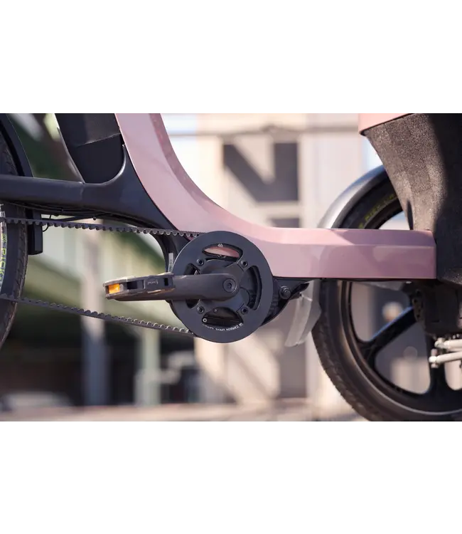 Van Raam Van Raam Thuja driewielfiets – Stabiliteit en comfort met twee voorwielen