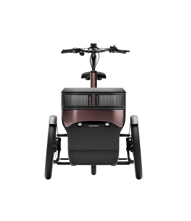 Van Raam Van Raam Thuja tricycle – Stability and comfort with two front wheels