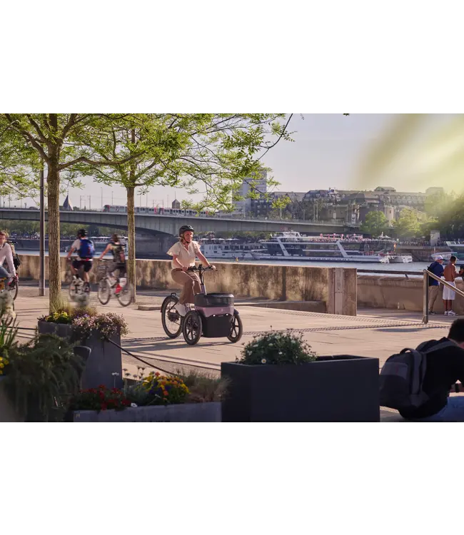 Van Raam Van Raam Thuja tricycle – Stability and comfort with two front wheels