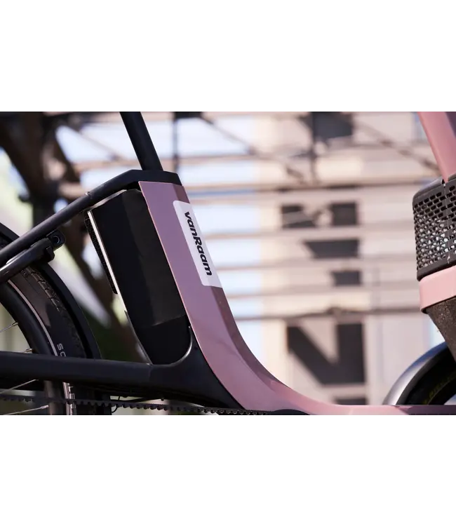 Van Raam Van Raam Thuja tricycle – Stability and comfort with two front wheels