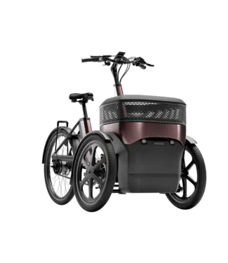 Van Raam Thuja Drielwielfiets