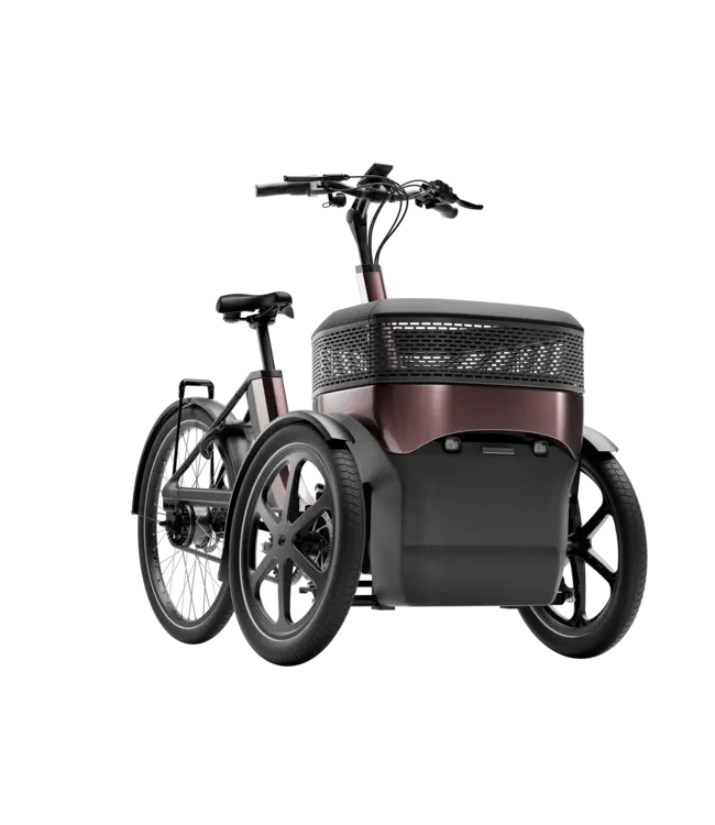 Van Raam Van Raam Thuja driewielfiets – Stabiliteit en comfort met twee voorwielen