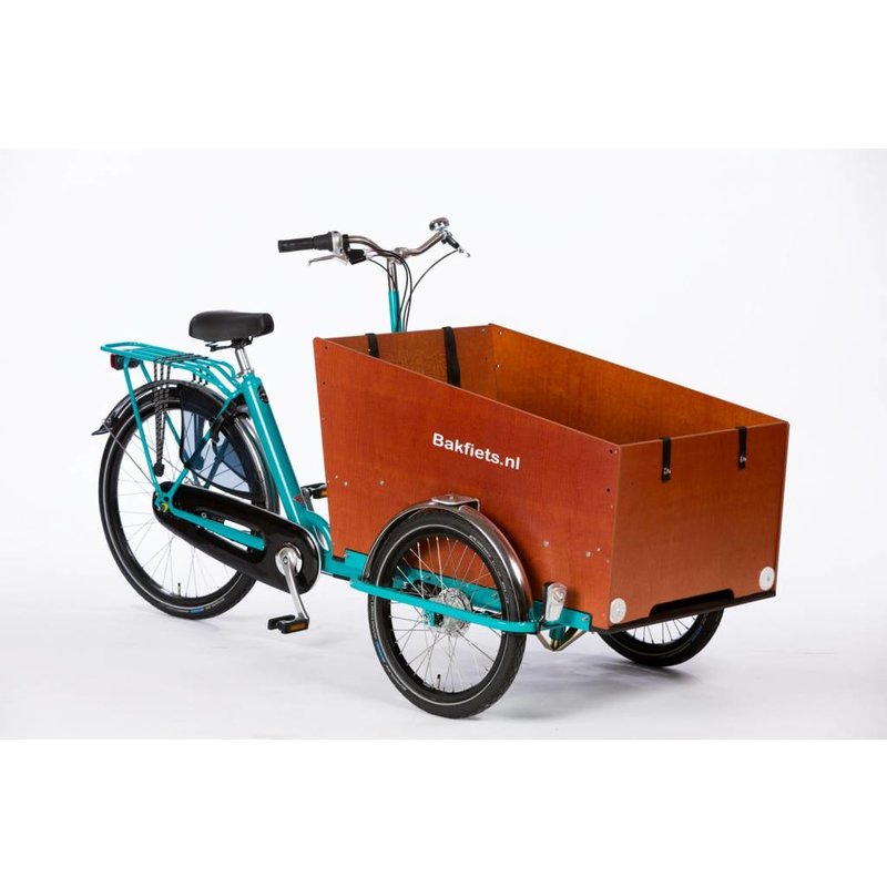 coors light beach cruiser