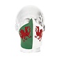 Accessoires Gezichtsmasker DRAGON