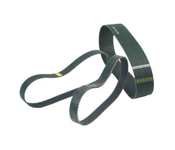 BDL primary Belts FLT/FXR