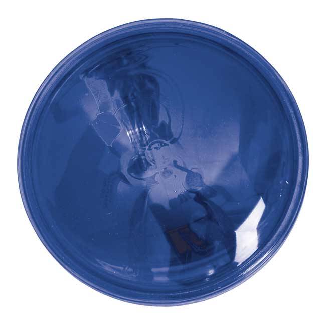 spotlight insert police blue Taco Motos Amsterdam