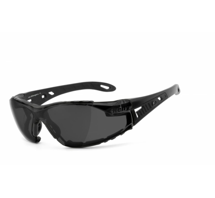 Goggle Sunglasses moab 5 - smoke Fits: > all Bikers