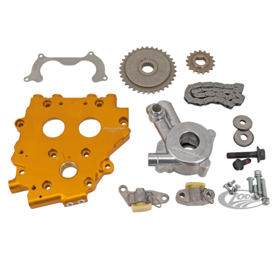 Engine Cam Chain Tensioner Plate Upgrade Kit - 1999 - 2006 Twincam