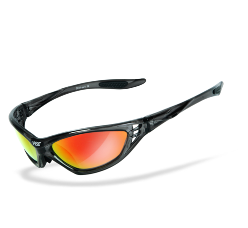 HSE Sporteyes Goggle sunglasses: SPEED MASTER 2 2011-arv