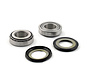 frame neck bearing race & seal kit Fits: > 49-21 Bigtwins