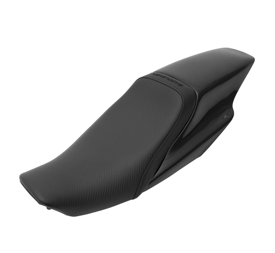 Eliminator Sección trasera/Asiento CF Compatible con:> 04-22 XL Sportster