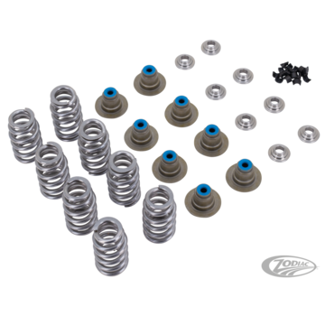 STAR RACING High Lift valve spring kit