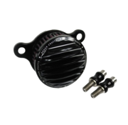 Rough Crafts air cleaner kit  Black or Polished  Fits: > 91-22 XL (excl. XR1200)