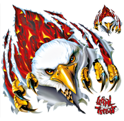 Lethal Threat Decals LETHAL THREAT "BIKE TATTOOS" DESIGNS AND TANK DECALS, RIP FLAME EAGLE LG 11,5"X11,75"
