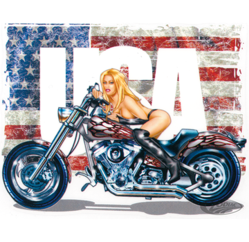Lethal Threat Decals LETHAL THREAT "BIKE TATTOOS" DESIGNS AND TANK DECALS, Miss Ride USA  5.46X4.23 decal
