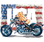 LETHAL THREAT "BIKE TATTOOS" DESIGNS AND TANK DECALS, Miss Ride USA  5.46X4.23 decal