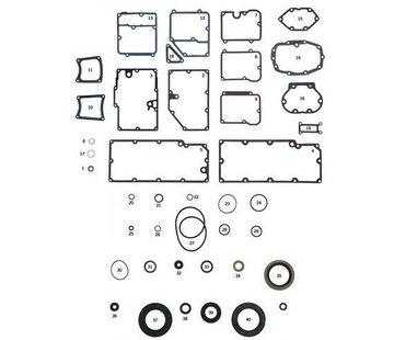 James Getriebe Dichtung und Seal Kit, BT 79-06