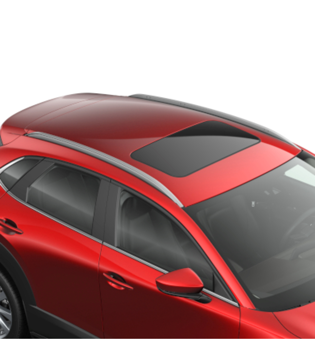 Mazda CX - 30 Typ DM  Dachreling schwarz/silber