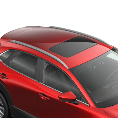 Mazda CX 30 Typ DM Dachreling schwarz silber Autohaus Prange Online Shop