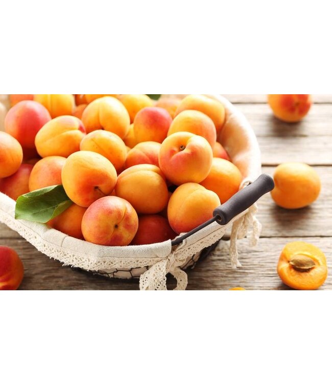 Waxmelt Fruity Abrikoos 15 gram