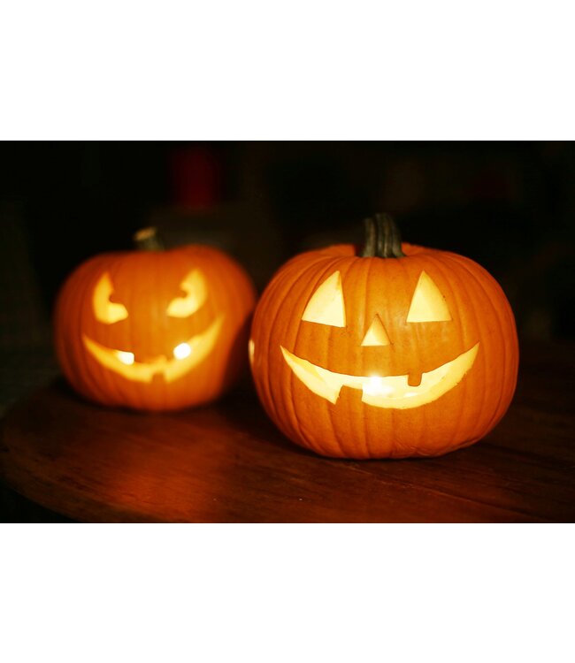 Waxmelt Pumpkin Halloween 15 gram