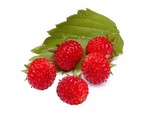 Geurolie Wild Strawberry