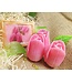 Siliconen kaarsenmal Tulp 46 x 43 mm - Kaarsen maken