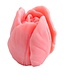 Siliconen kaarsenmal Tulp 46 x 43 mm - Kaarsen maken