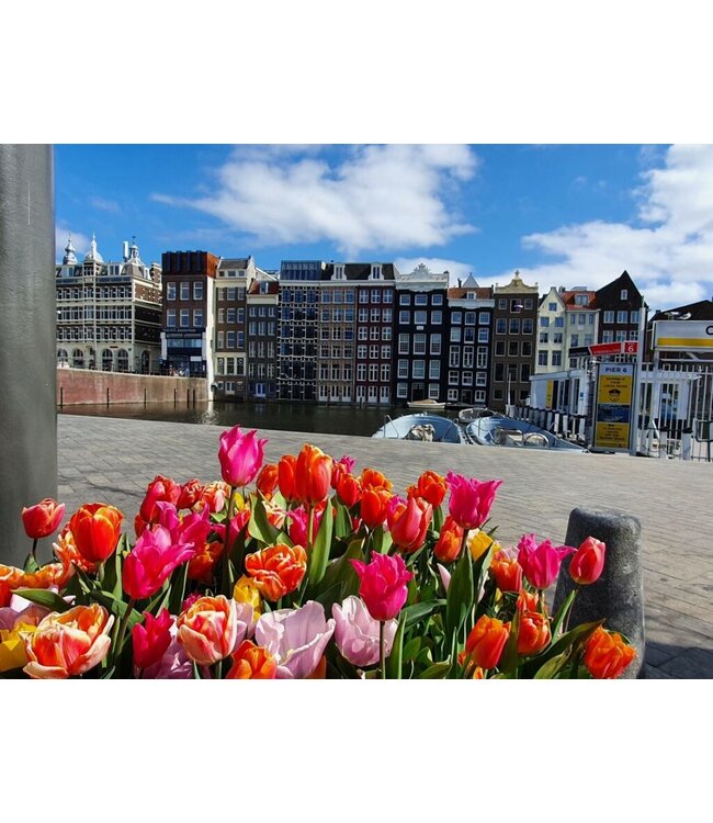 Geurolie Good Habits Tulips from Amsterdam - Zelf geurkaarsen - waxmelts maken