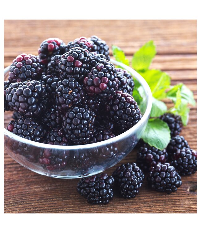 The Candleshop Collection Geurolie Wild Blackberry - Zelf geurkaarsen - waxmelts maken