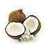 Geurolie Fresh Coconut - Zelf geurkaarsen - waxmelts maken