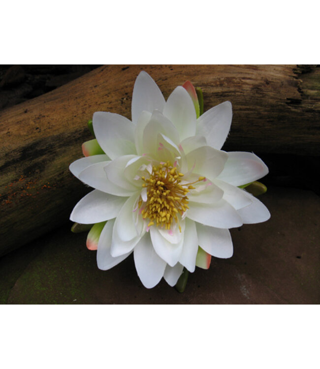 Geurolie Good Habits of Jing - Zelf geurkaarsen - waxmelts maken