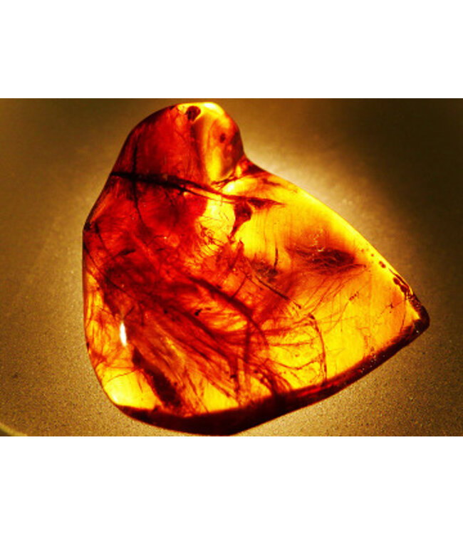 Geurolie Good Habits Precious Amber - Zelf geurkaarsen - waxmelts maken