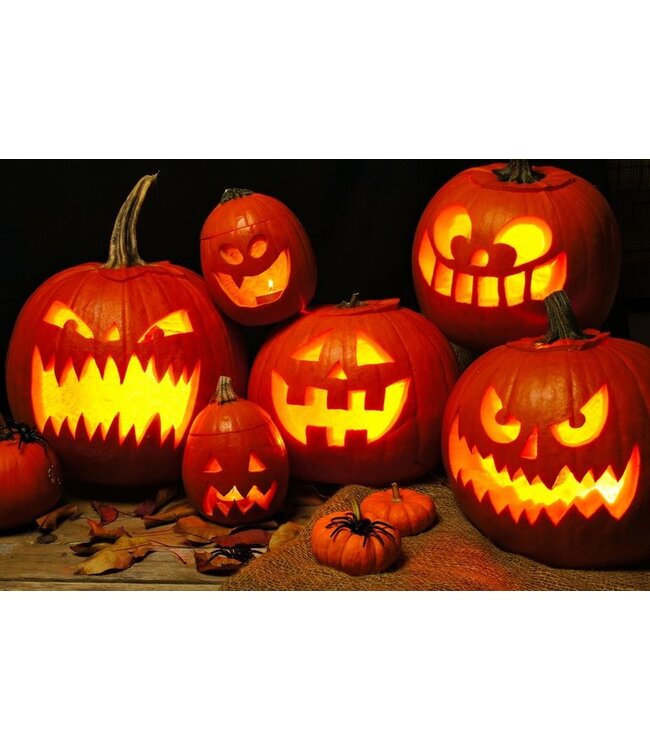 The Candleshop Collection Geurolie Pumpkin Halloween - Zelf geurkaarsen - waxmelts maken