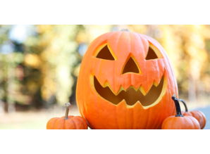 The Candleshop Collection Geurolie Pumpkin Halloween - Zelf geurkaarsen - waxmelts maken