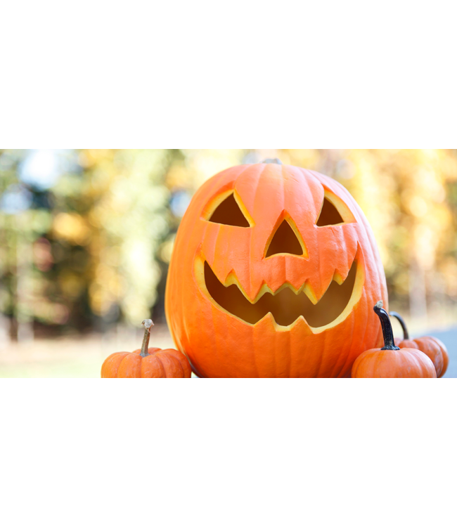 The Candleshop Collection Geurolie Pumpkin Halloween - Zelf geurkaarsen - waxmelts maken