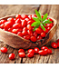 Geurolie Good Habits Goji Berries - Zelf geurkaarsen - waxmelts maken