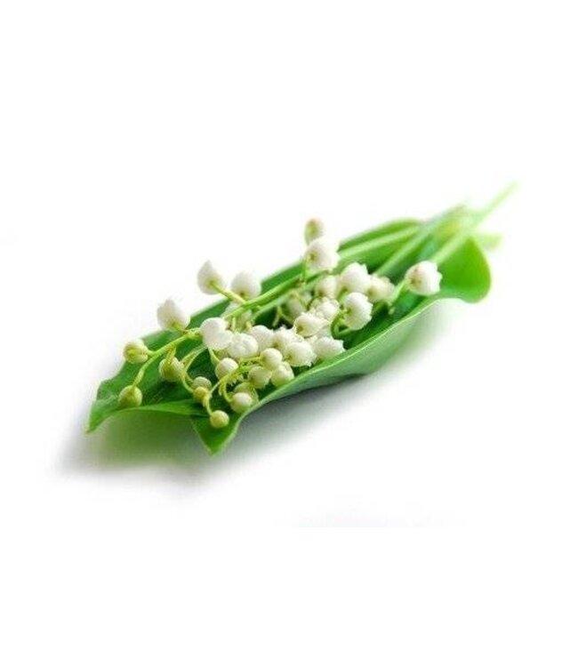 Geurolie Lily of the Valley - Zelf geurkaarsen - waxmelts maken