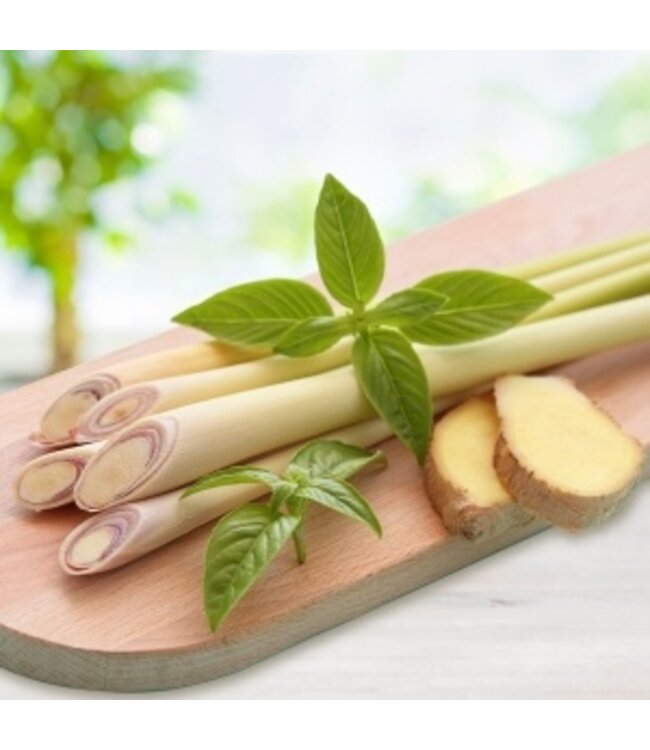 Geurolie Lemongrass & Ginger - Zelf geurkaarsen - waxmelts maken