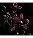Geurolie Black Orchid - Zelf geurkaarsen - waxmelts maken
