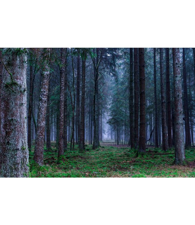 Geurolie Enchanted Forest - Zelf geurkaarsen - waxmelts maken