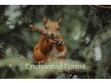 Geurolie Enchanted Forest