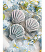 Clamshell Shell - Zelf waxmelts maken