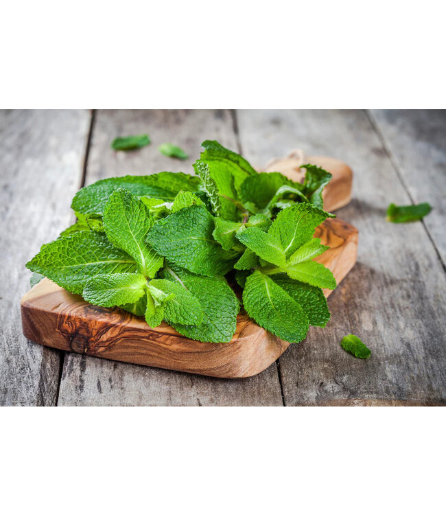 Geurolie Cool Peppermint - Zelf geurkaarsen - waxmelts maken